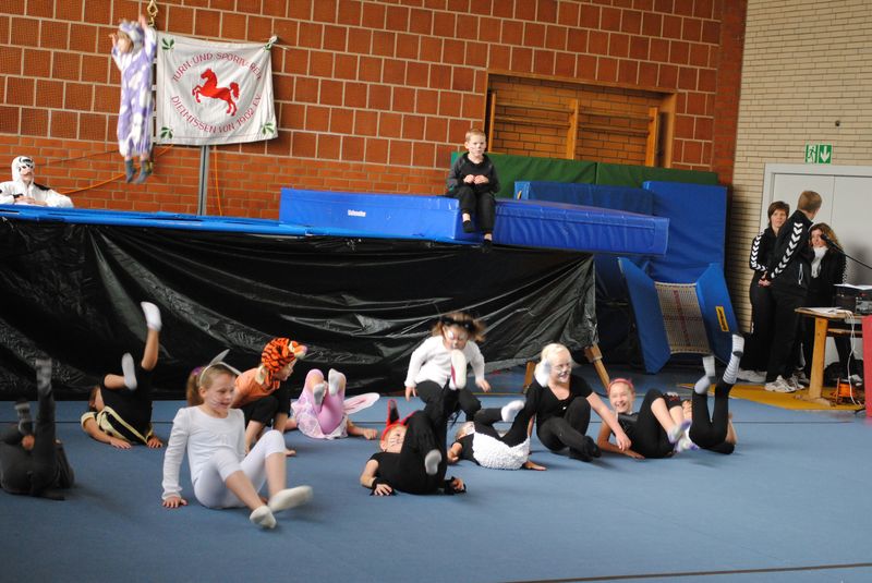 tl_files/TSV-Dielmissen/Bilder/2011/Schauturnen 09.10.2011/Trampolin Nachwuchs.JPG